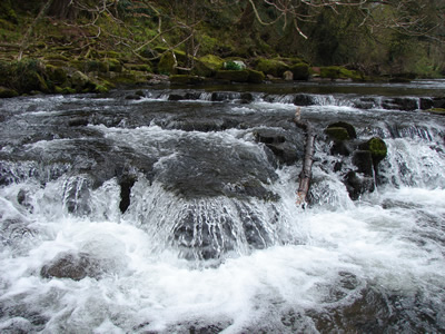 Glan-yr-Afon waterfall